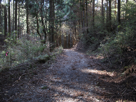 20180116hike (307)
